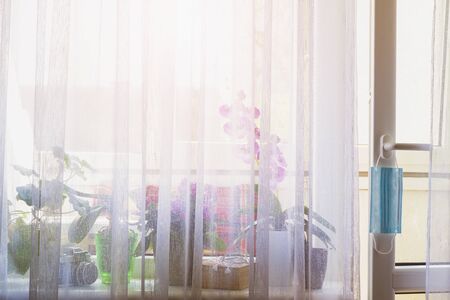Medical mask hangs on a pen and on the windowsill are a camera, flowers and a book