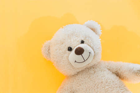 Portrait of a teddy bear on a yellow backgroundの写真素材