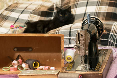 Sewing machine with thread and cat.