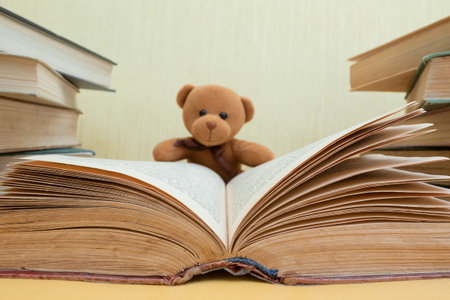 Funny teddy bear with booksの写真素材