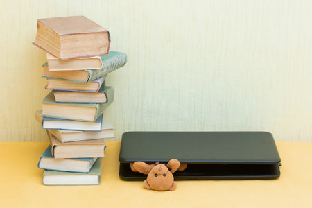Little teddy bear with books and laptop, copy spaceの写真素材