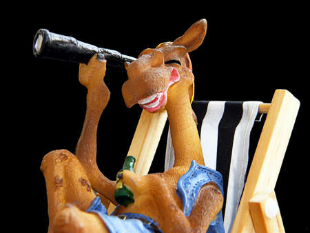 A happy camelの写真素材