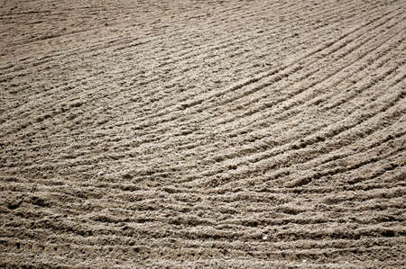 	
Combed sand as a backgroundの写真素材
