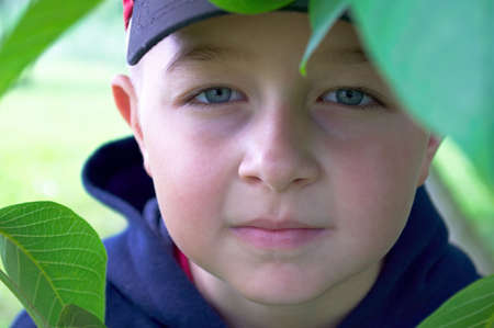 	
Boy playing in the summer leaveの写真素材