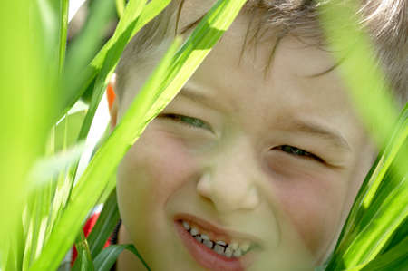 	
Little boy in the high grass