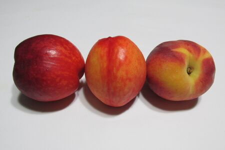 nectarines and peaches 1の写真素材