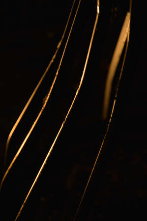 swingの写真素材