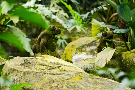 Bright peacock in birds park at Kuala Lumparの写真素材