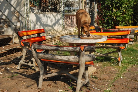 The ancient Asian Buddhist temple in Thailandの写真素材