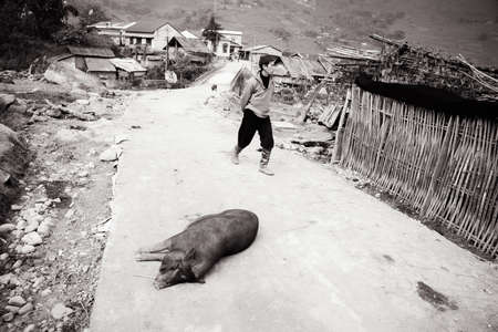 Sapa village, Northern Vietnam, 26.12.2012のeditorial素材