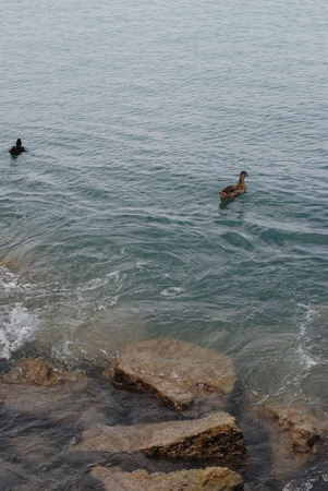 Nature of Garda lake in Italy, Europeの写真素材