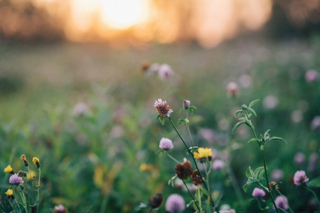 Love story of young couple at natureの写真素材