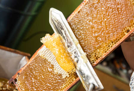 Extracting honey from honeycomb concept. Close up view of beekeeper cutting wax lids with hot knife...