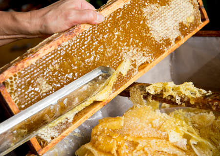 Extracting honey from honeycomb concept. Close up view of beekeeper cutting wax lids with hot knife...