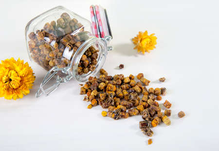 Alternative medicine, domestic honey bee made bee bread ( fermented flower and plant pollen ) inside...