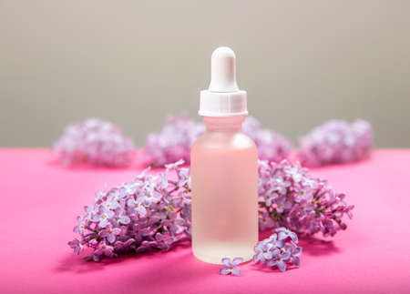 Syringa known as lilac based beauty products concept. Small matte glass oil bottle with lilac blossom bundles for decoration on pink studio background.の写真素材