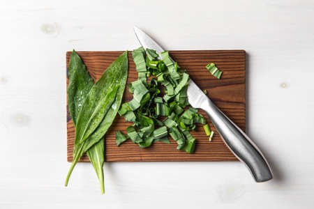 Allium ursinum leaves, known as wild garlic, ramsons, buckrams, broad-leaved garlic, wood garlic,...