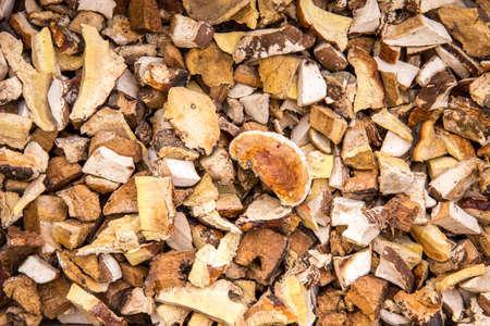 Small dried pieces of Fomitopsis pinicola also known as red belt conk fungus. Used for smoke in...