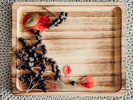 Aronia berries (Aronia prunifolia ) also known as chokeberries on wooden tray with its bush colorful autumn leaves. Empty room for text.の写真素材