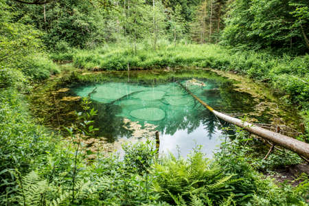Saula cold pure fresh water blue spring, Estonia, Europe. Beautiful natural wonder in the woods by the hiking trail. Believed to be ancient offering site. Natural wonder. Siniallikad.の写真素材