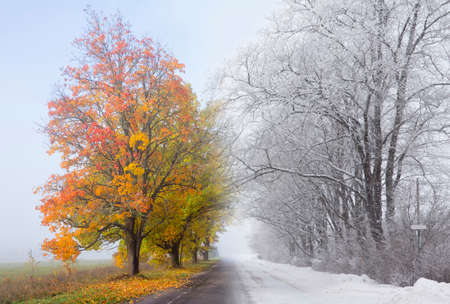 Photo composite of two images, autumn turning in to winter concept. On left colorful foliage on tree, autumn leaves under it and on right is snow blizzard and icy road. Weather concept.の写真素材