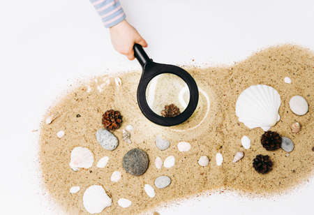 Young blonde girl child learning in montessori style class room or home concept. Explores natural nature materials sand, seashells, sea stones, pine cones with magnifying glass. Alternative education.の写真素材