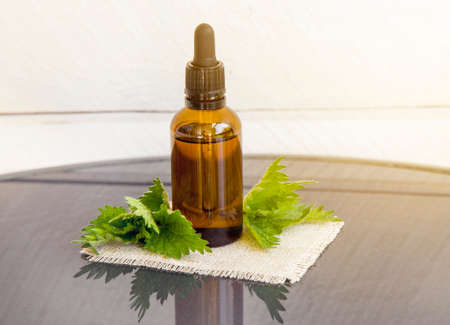 Nettles essential oil or infusion in brown medical pipette bottle with decorative nettle branches wooden board background. Sunny lens flare.の写真素材