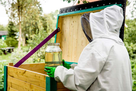 Preparing bees for winter, bee keeper feeding bees with jar of home made sugar syrup in the autumn...