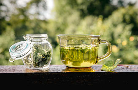 Dried Tussilago farfara( coughwort, tash plant, farfara) commonly known as coltsfoot believed to be natural cough remedy. Tea glass with jar on sunny day. Herbal medicine concept.の写真素材