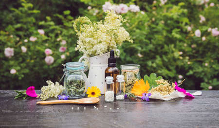 Homeopathic medicine pills on wood table, globules in jars and on wood spoon, decorated with fresh and dry various herbal plants outdoors in summer, greenery background. Homeopathy concept.の写真素材
