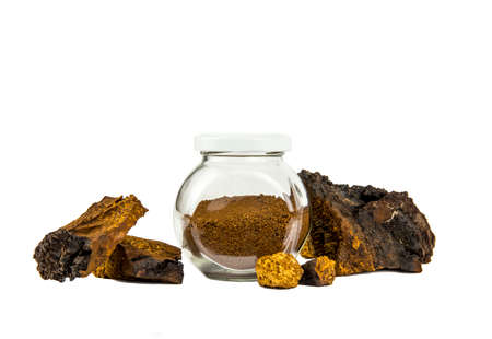Healthy pure wild natural chaga mushroom, Inonotus obliquus powder in glass jar for making tea and...