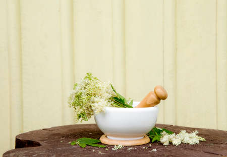 Bundle of Meadowsweet also referred to as queen of the meadow, pride of the meadow, meadow-wort,...