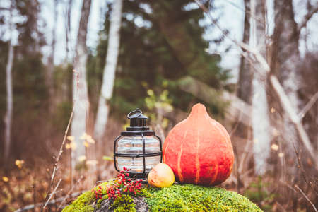 Autumn set on mossy stone: Berberis vulgaris branch, orange pumpkin,apple, forest with different blurry trees on the background.の写真素材