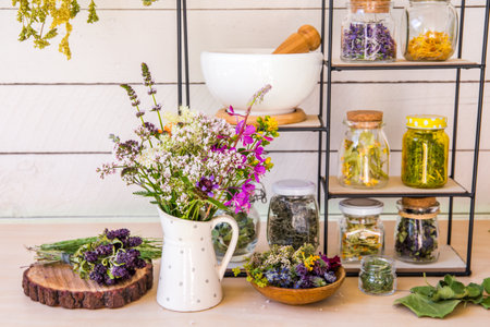 Lot of various herbal medicinal plants gathered and drying in room and dried herbs in glass jars on shelf. Herbalist concept. Fireweed, heal-all, woundwort, yarrow, cowslip, meadowsweet, pot marigold.の写真素材