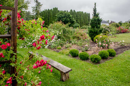 PÃµltsamaa, JÃµgeva county, Estonia-04JUL2020: PÃµltsamaa Rose Garden park.のeditorial素材