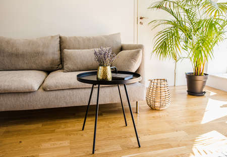 Minimalist modern home living room black accent piece table with gold color vase and book black metal table on natural oak hardwood floor.の写真素材