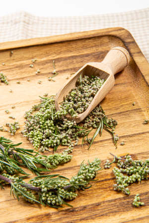 Artemisia vulgaris the common mugwort plant parts on wood spoon on natural color wood tray, indoors...