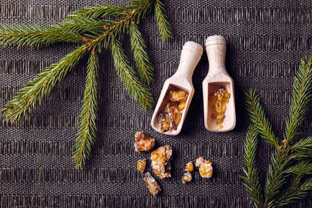 Spruce tree Picea abies resin pieces on wood spoons, decorated with fresh spruce branches. Using spruce resin in medicine and beauty industry concept.の写真素材