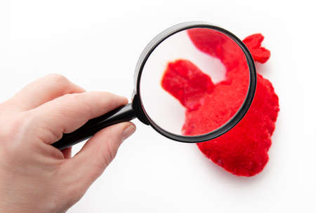 Close up view of person hand looking red felt heart organ through magnifying glass. Health and medical concept.の写真素材