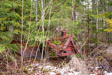 Old abandoned farming ploughing machine in forest, trees growing through. Scrap metal for cash, selling old scrap metal concept.の写真素材