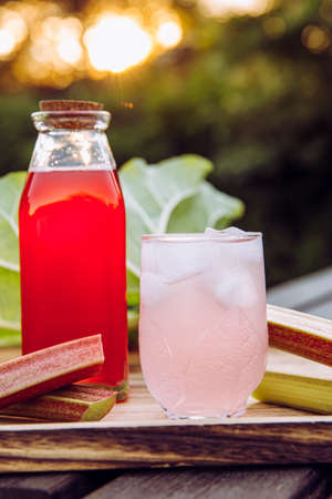 Homemade rhubarb syrup ( Rheum hybridum ). Nice pink liquid syrup in bottle and glass with juice and ice cubes in drinking glass on tray, decorated with rhubarb stalks. Refreshing spring drink.の写真素材