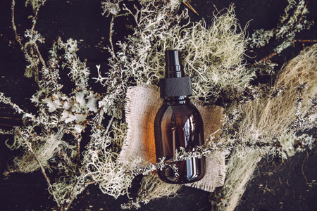 Brown glass bottle with herbal lichen medicine tincture inside concept. Usnea barbata or old man's beard or beard lichen tincture concept. Black wood board background and various lの写真素材