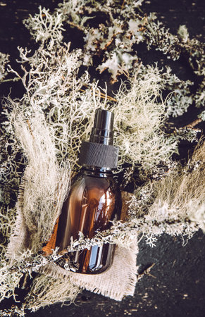 Brown glass bottle with herbal lichen medicine tincture inside concept. Usnea barbata or old man's beard or beard lichen tincture concept. Black wood board background and various lの写真素材