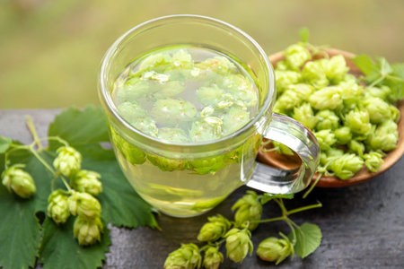 Herbal medicinal tea drink made of Humulus lupulus, the common hop or hops. Hops flowers with tea...