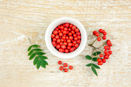 Flat lay view of fresh ripe orange rowan berries in green cup. Using rowan berries in food concept. Beige wood board background, indoors.の写真素材