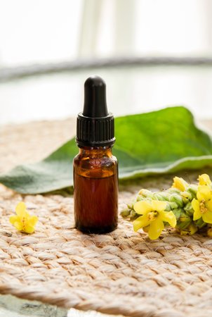 Homemade herbal medicinal tincture made of Verbascum thapsus, the great mullein, greater mullein or common mullein. Yellow flower branch with pipette bottle composition.の写真素材