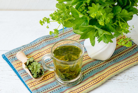 Alchemilla vulgaris, common lady's mantle medicinal herbal tea in clear cup. Fresh lady's mantle plants in vase, tea in glass and dried tea powder on plate, white wood board backgrの写真素材