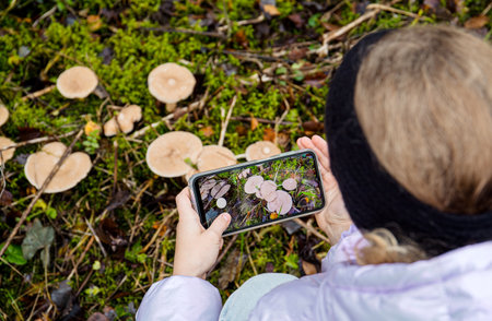 Close up view of child hands holding and taking a photo of mushrooms with smartphone. Mushroom identify app concept.の写真素材