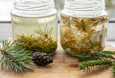 Making syrup of fresh pine needles and spruce needles. Glass jars with needles infused with water in home kitchen.の写真素材
