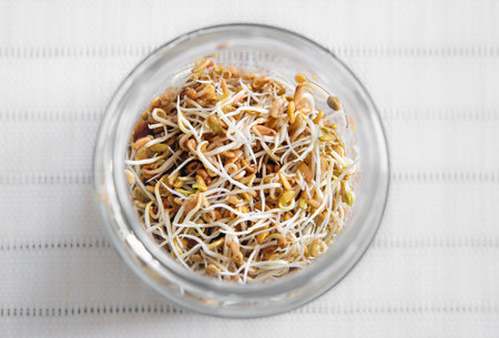 Above view of Fenugreek, Trigonella foenum-graecum seed germination, growing sprouts for food in...
